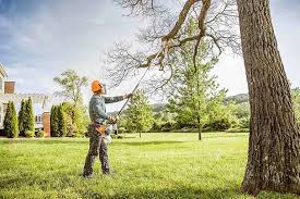 Best Aeration Services  in East Brady, PA