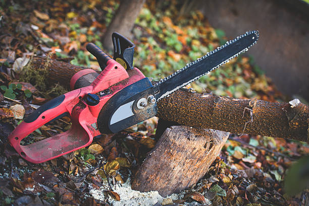 Best Lawn Pest Prevention  in East Brady, PA